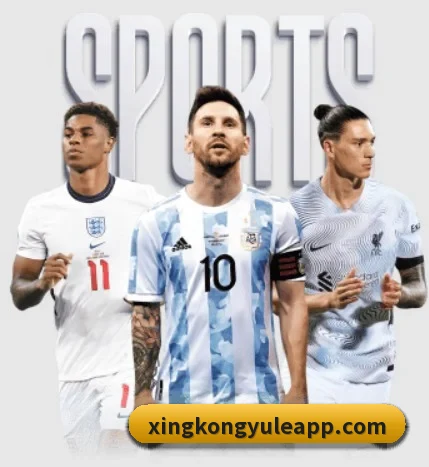 五大服务分区,信息按项目分类 | xingkong
